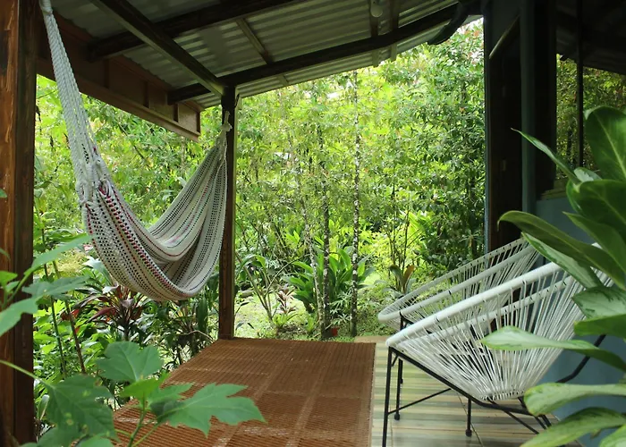 Chalet à louer Cecropia Ecolodge